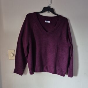 Sonoma Women's V-Neck Sweater Size 1X